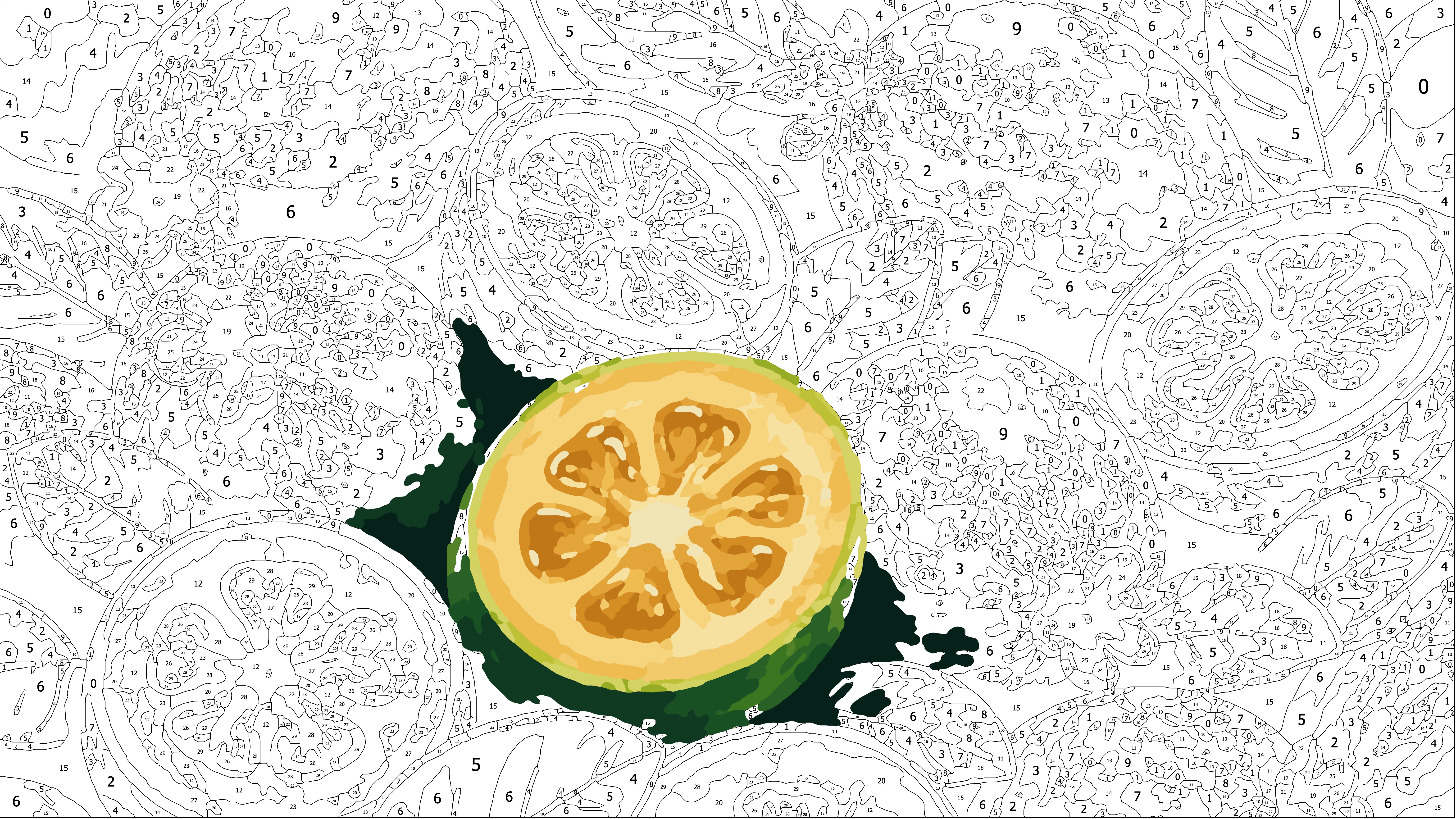 Colouring a Feijoa in Procreate
